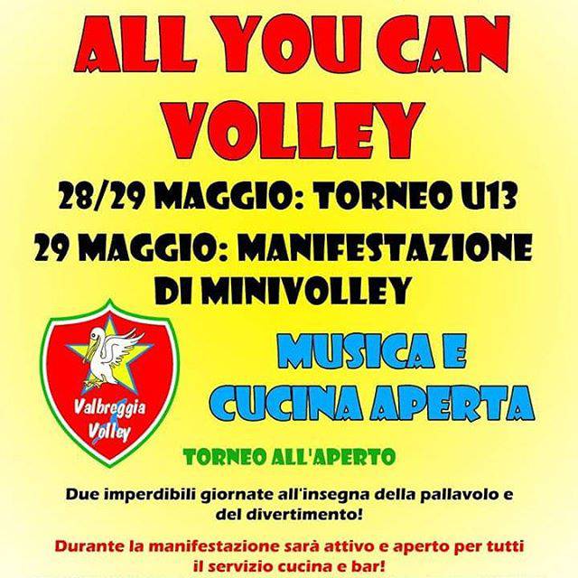 allyoucanvolley