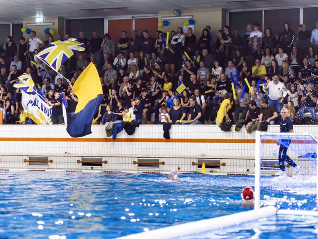 TIFOsi pallanuoto como a muggiò bandiere