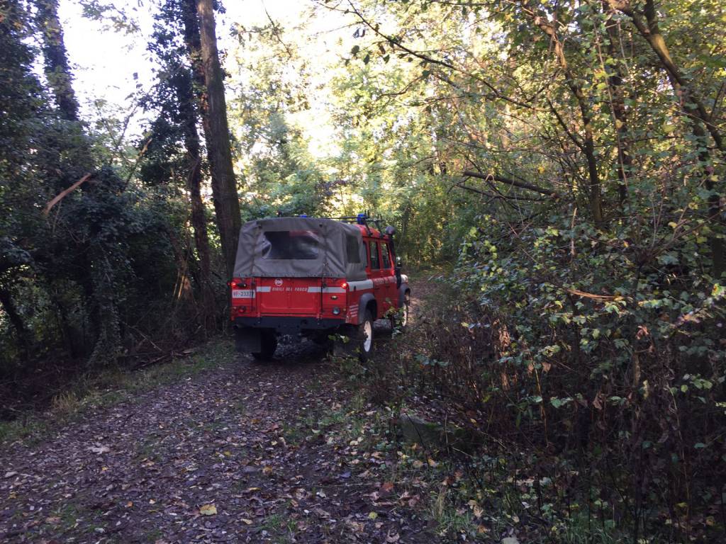 cercatore funghi ferito bosco inverigo