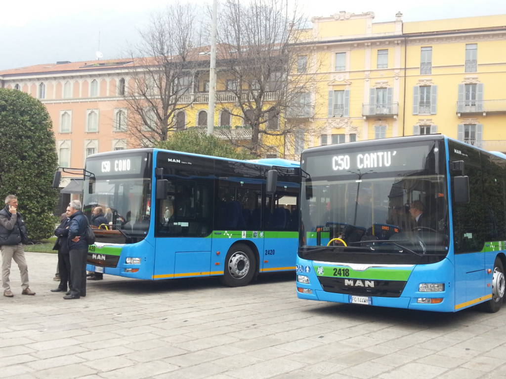 Ecco i nuovi bus di Asf: tra poco in servizio sulle strade