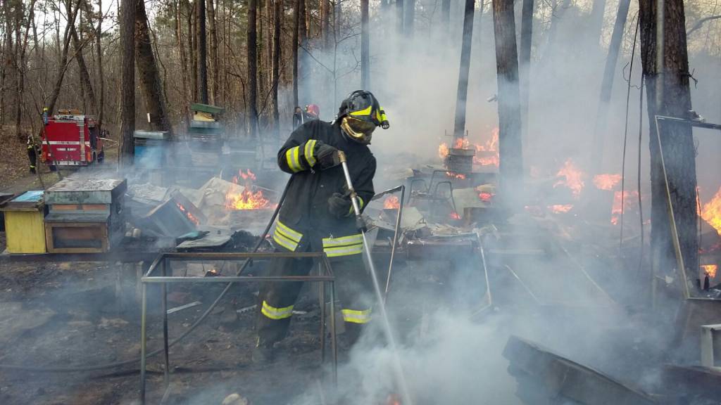 Incendiate le arnie del Parco Pineta di Appiano Gentile