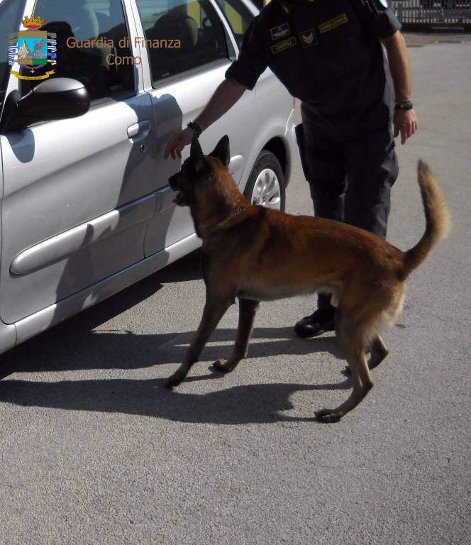 sequestro cocaina su auto valico ronago con cane antidroga