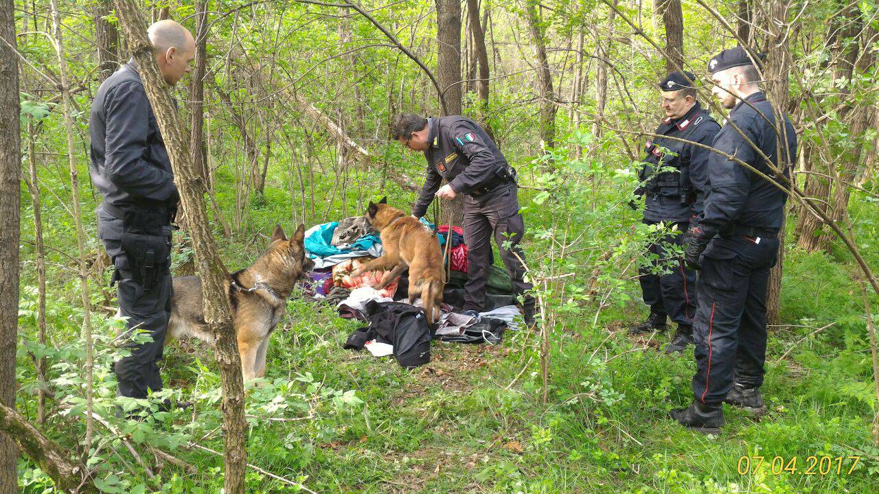 spaccio di droga boschi bassa comasca lomazzo e turate