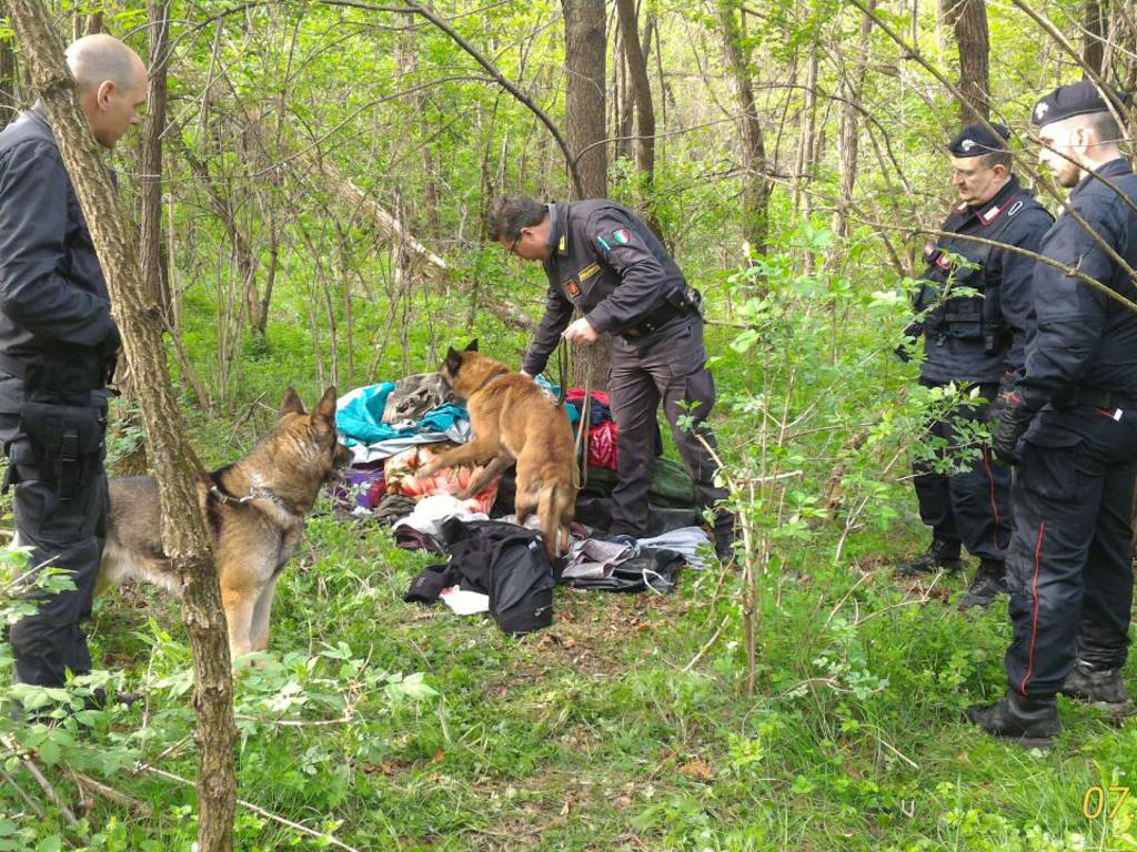 spaccio di droga boschi bassa comasca lomazzo e turate