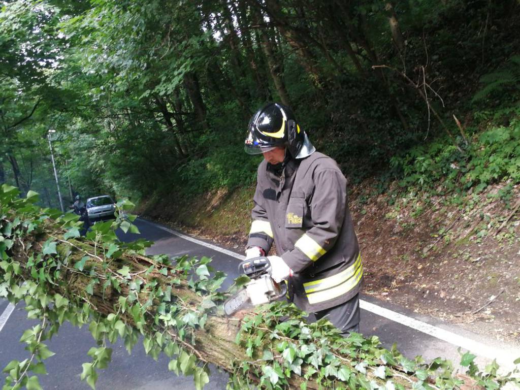 alberi caduti per vento e pioggia pompieri