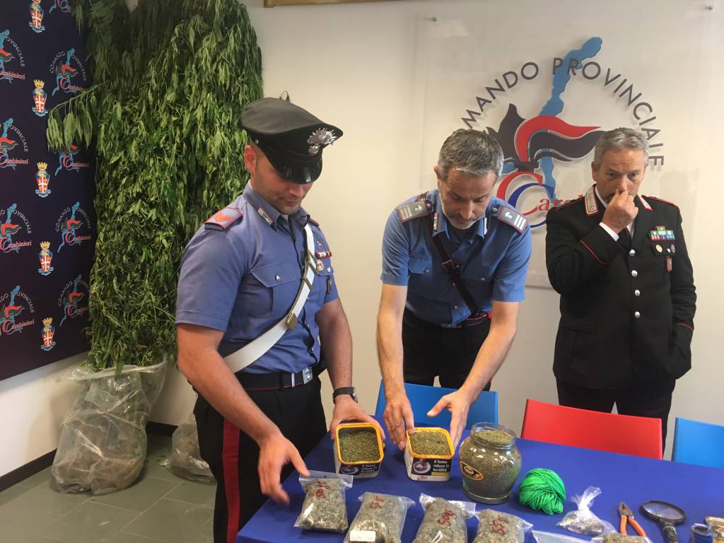 piante di marijuana trovate dai carabinieri prato di via rienza