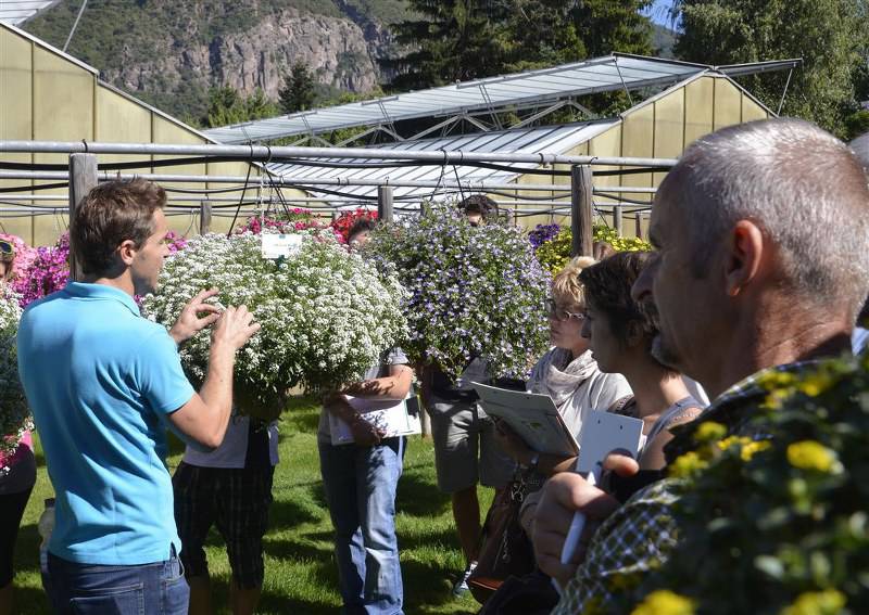 garden festival autunno