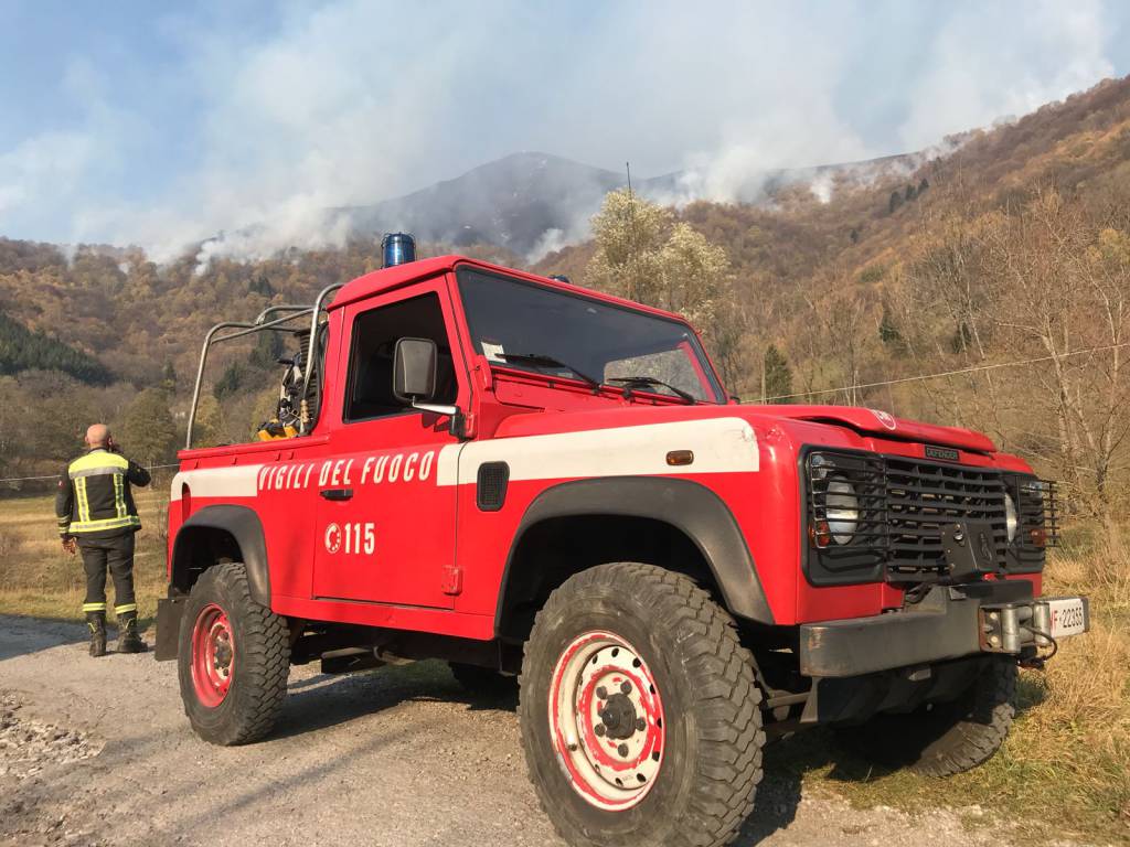 Incendio a veleso, pompieri nel bosco per domare il rogo