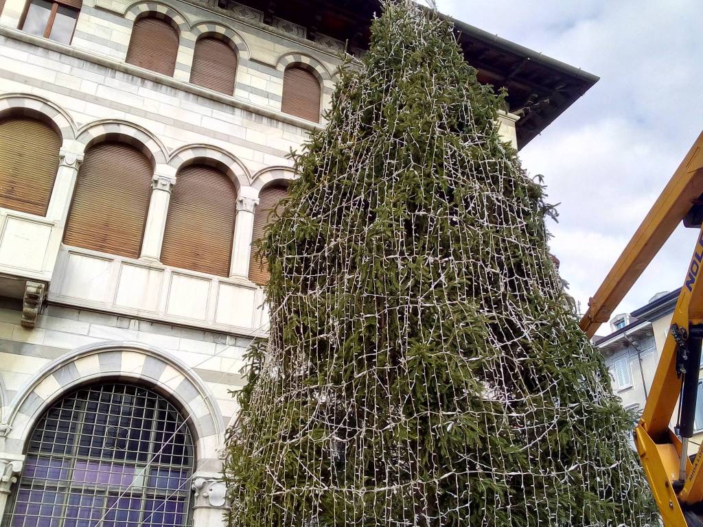 grande albero di piazza grimoldi a como balocchi 2017