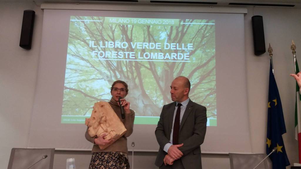 ersaf contratti foresta