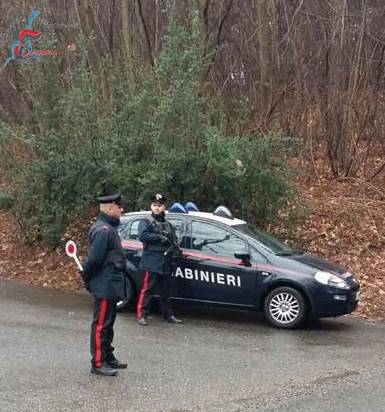 Blitz dei carabinieri contro droga e furti: sequestri e denunce