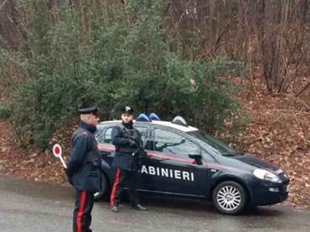 Blitz dei carabinieri contro droga e furti: sequestri e denunce