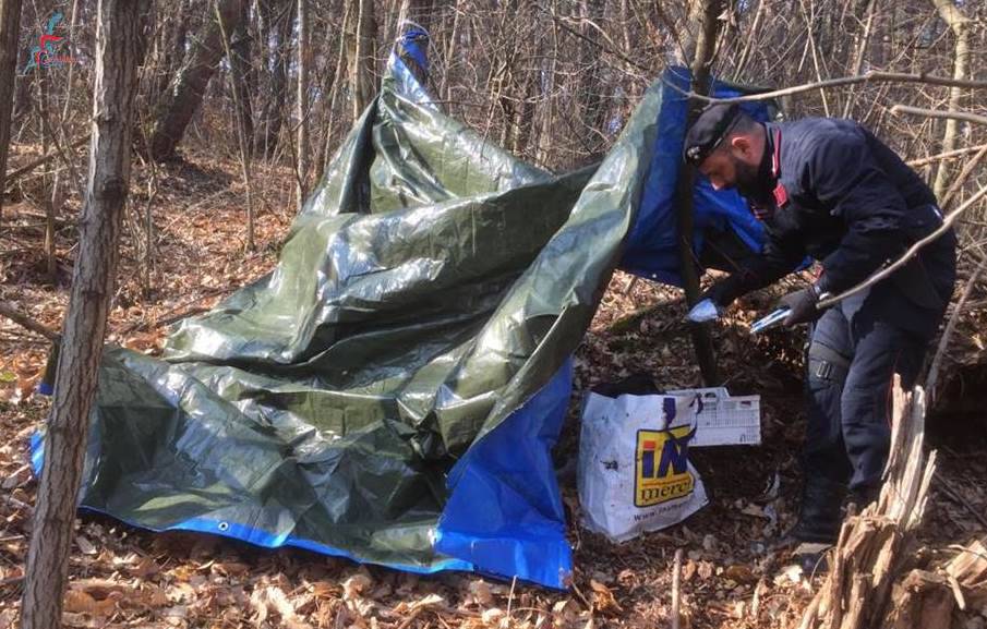 Blitz dei carabinieri contro droga e furti: sequestri e denunce