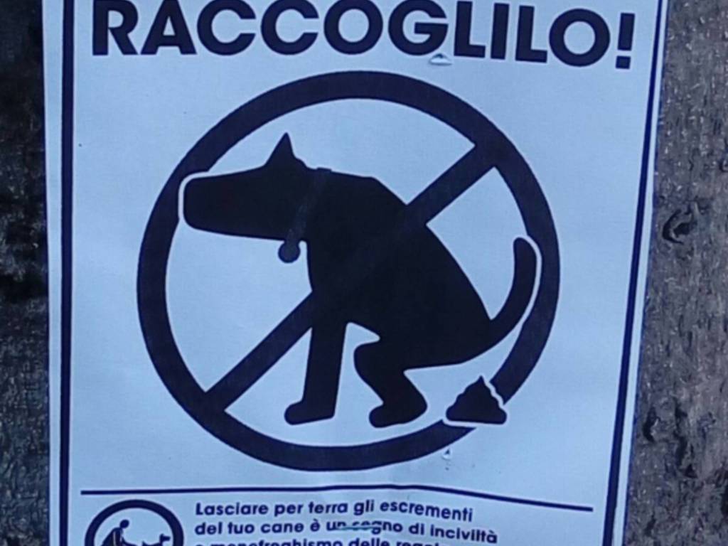 cartelli invito ai padroni dei cani di raccogliere escrementi via leoni como su alberi