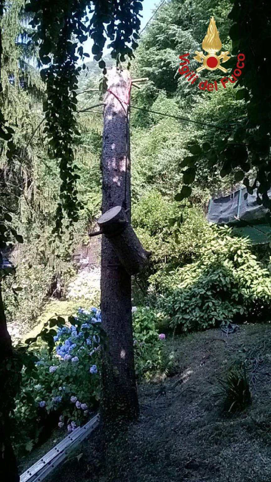 incidente via torno como feriti durante potatura albero