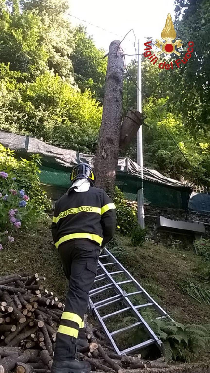 incidente via torno como feriti durante potatura albero