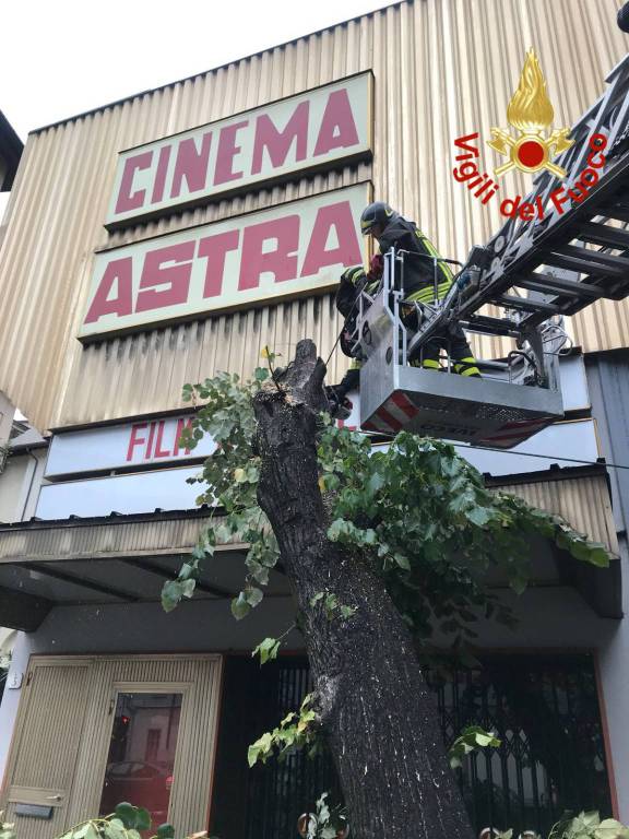 Albero cade sulla facciata del cinema Astra di Como, viale Giulio Cesare