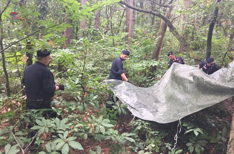 carabinieri rimuovono tende spacciatori parco pineta oltrona san mamette