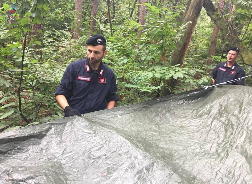 carabinieri rimuovono tende spacciatori parco pineta oltrona san mamette