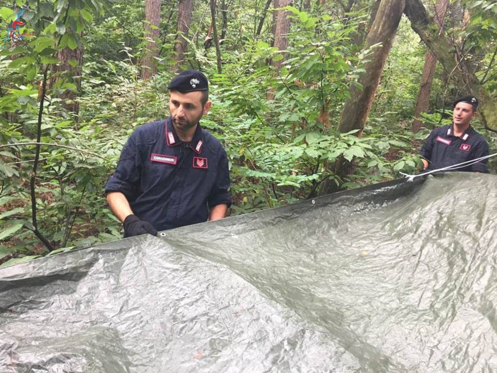 carabinieri rimuovono tende spacciatori parco pineta oltrona san mamette