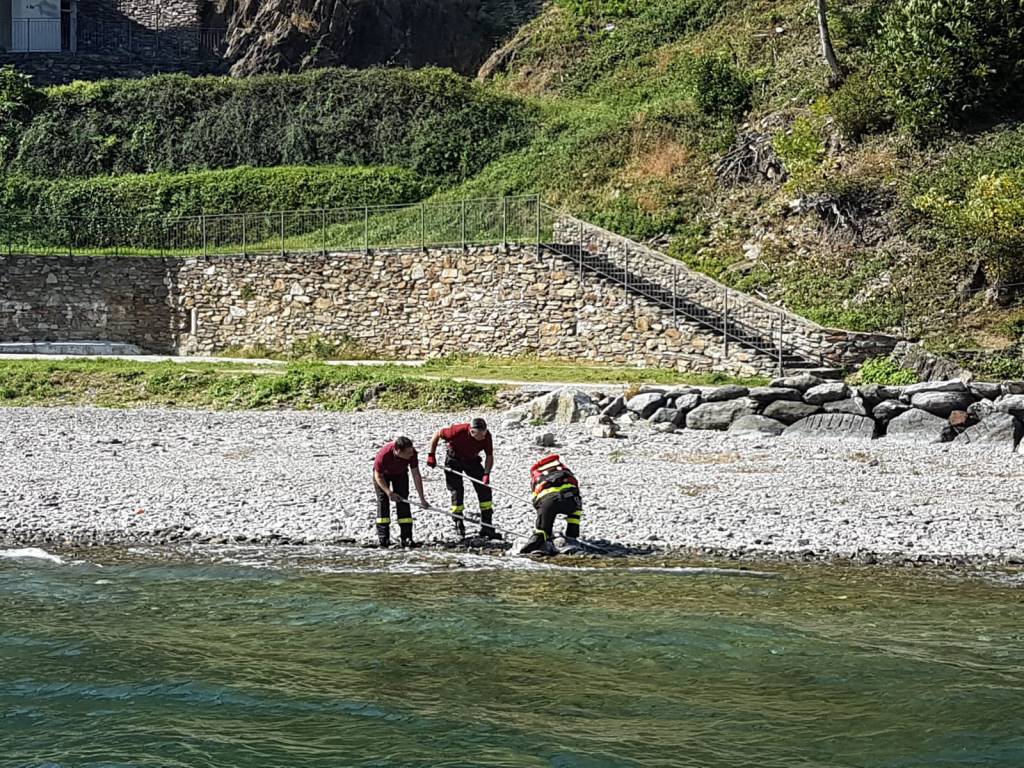 Cigno ferito da un amo nel lago ed appartamento in fiamme: pompieri in azione