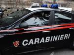 carabinieri generica esterno scuola dopo vandalismo, pubblico ufficiale