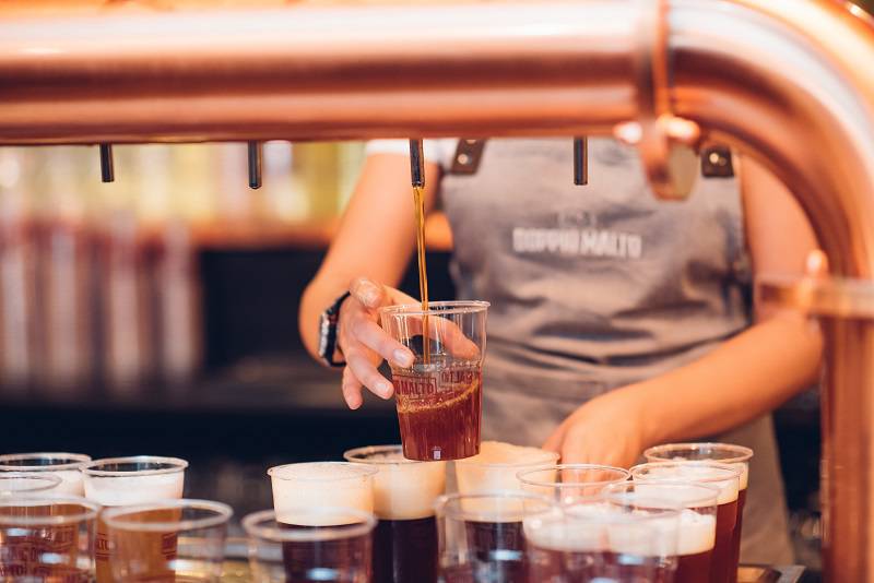 doppio malto erba serata con tributo a Ligabue e tante birre da gustare