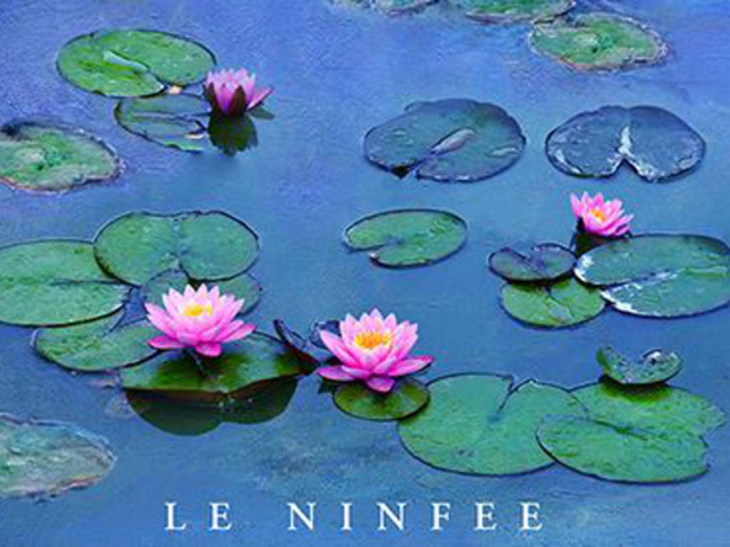 le ninfee di monet film