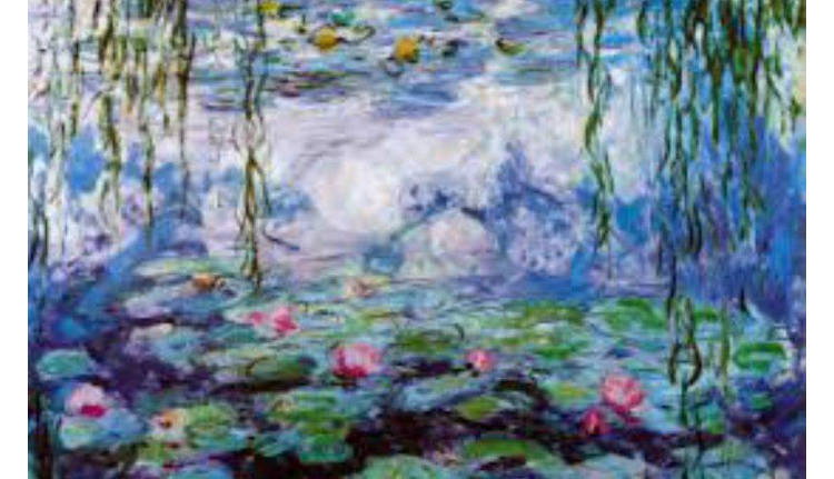 le ninfee di monet film