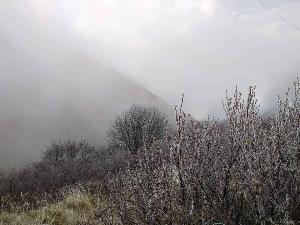 Neve e freddo nei campi del comasco questa mattina al riseveglio
