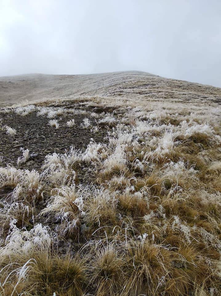 Neve e freddo nei campi del comasco questa mattina al riseveglio