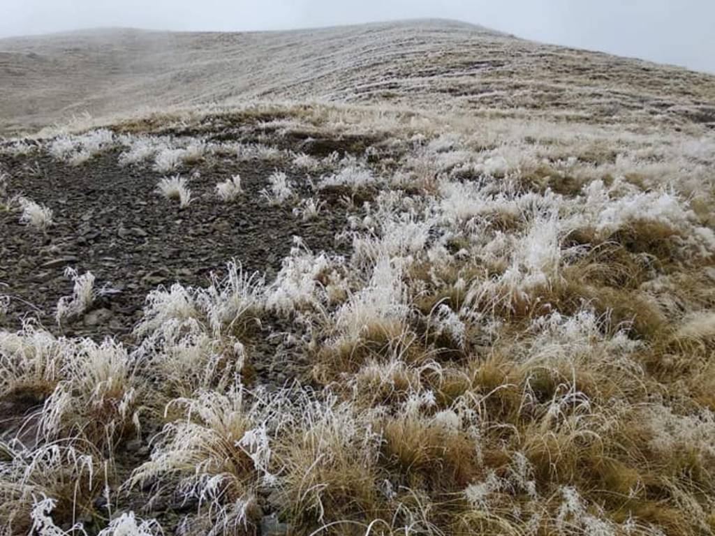 Neve e freddo nei campi del comasco questa mattina al riseveglio