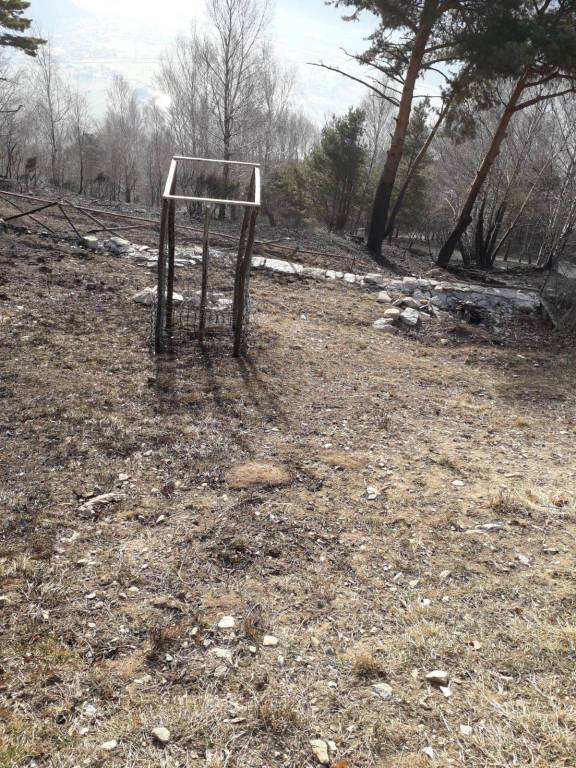 la devastazione del grosso incendio in alto lago; boschi distrutti