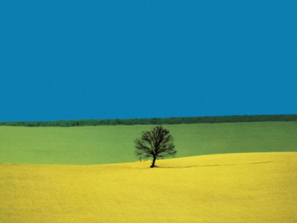 franco fontana mostra