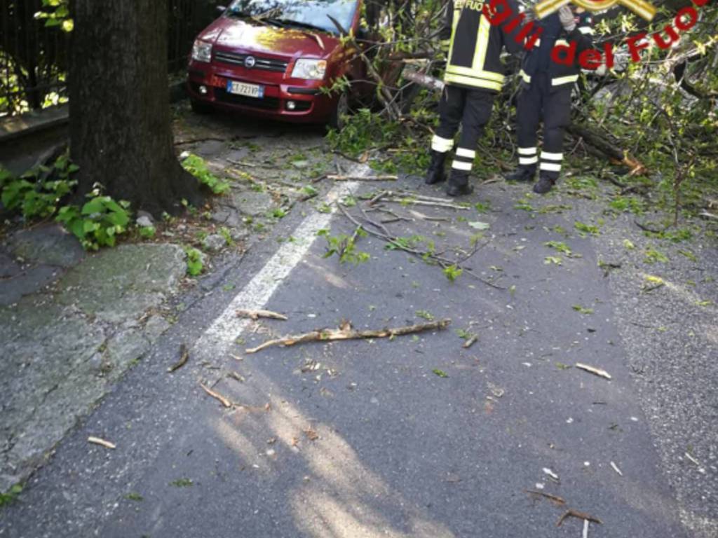 como via per san fermo albero caduto su auto in sosta