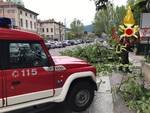 i danni del venti questa mattina a Como: tettoie volate vie ed alberi caduti