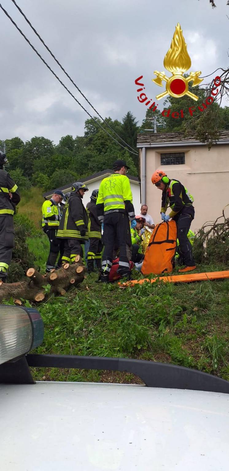 infortunio stazzona, uomo cade dall'albero soccorso da 118 e pompieri