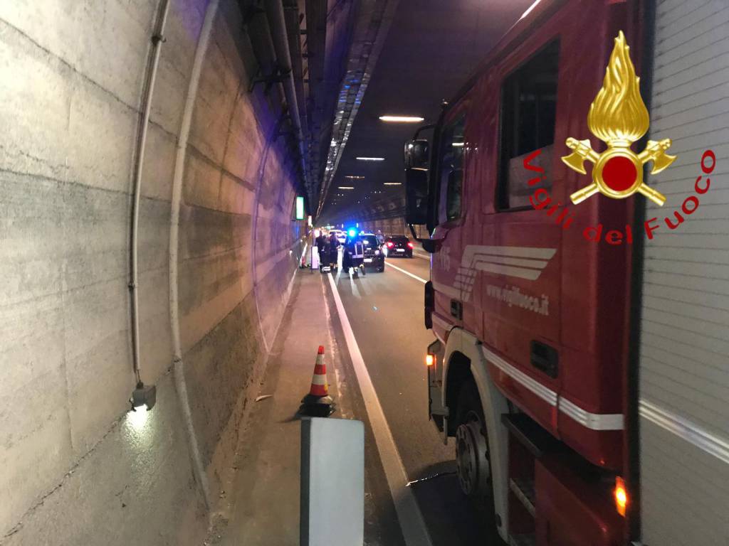 gatto lanciato da auto in corsa galleria cernobbio recupero dei pompieri