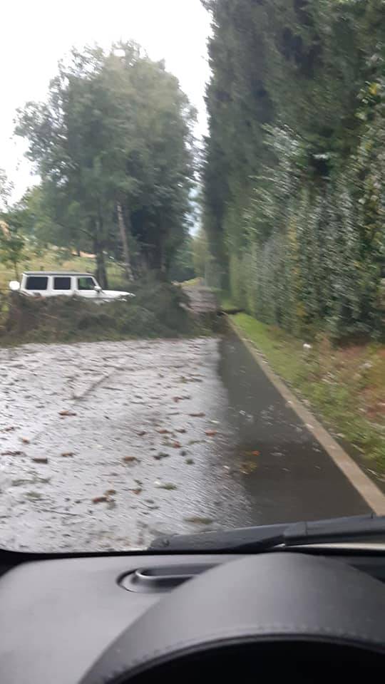 smottamento cliano con osteno fango sulla strada ed albero caduto a pian delle noci in strada