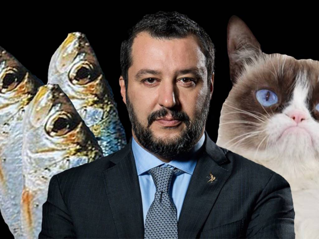 salvini