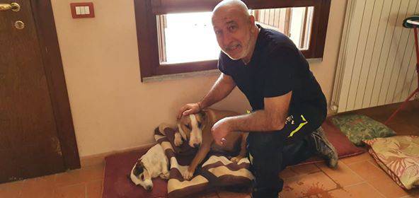 cane jack russel bloccato nel tubo e salvato da servizio emergenza veterinaria como