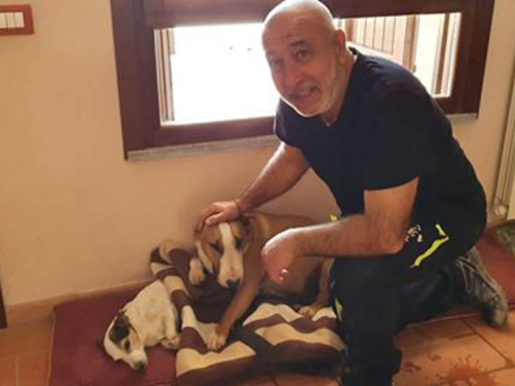 cane jack russel bloccato nel tubo e salvato da servizio emergenza veterinaria como