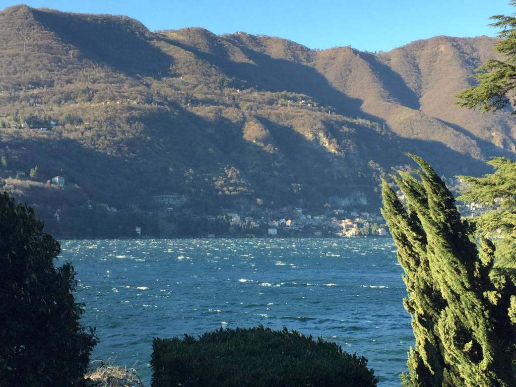 Il vento forte su Como: raffiche da paura, danni ed alberi caduti