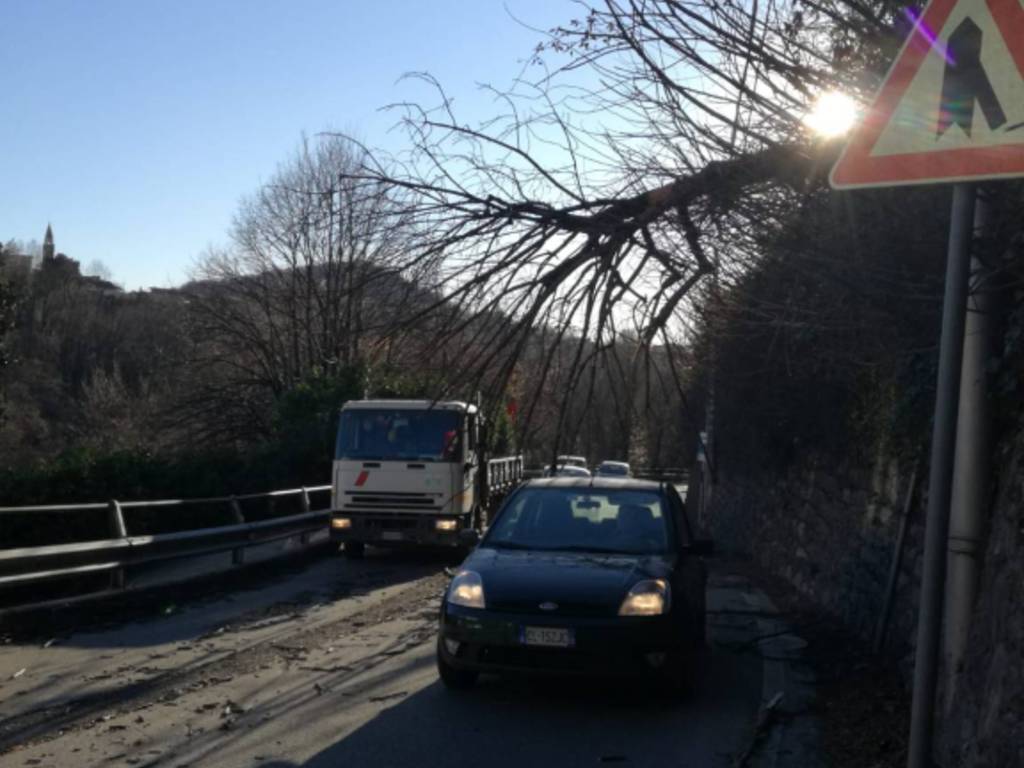 Il vento forte su Como: raffiche da paura, danni ed alberi caduti