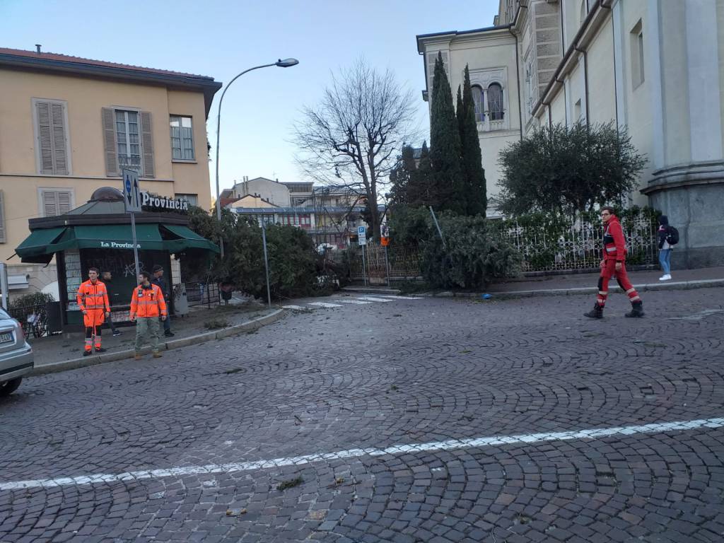 Il vento forte su Como: raffiche da paura, danni ed alberi caduti