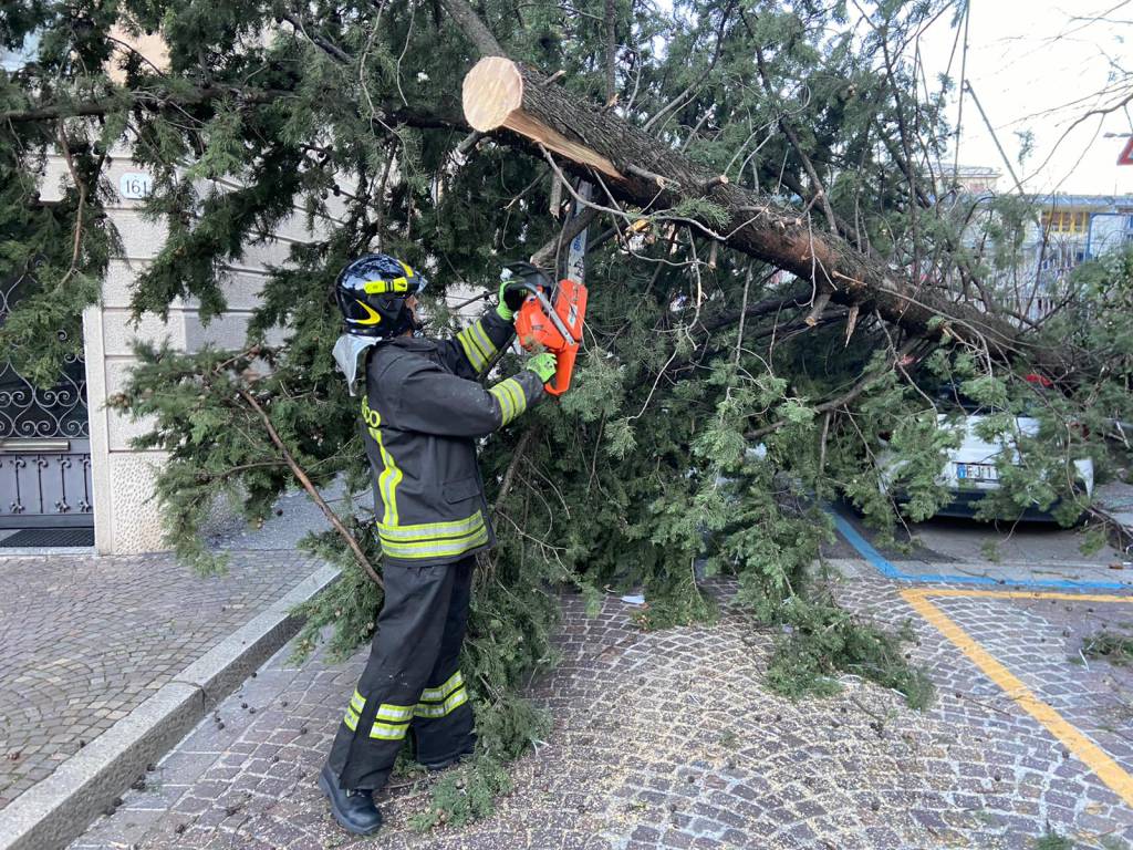 Il vento forte su Como: raffiche da paura, danni ed alberi caduti