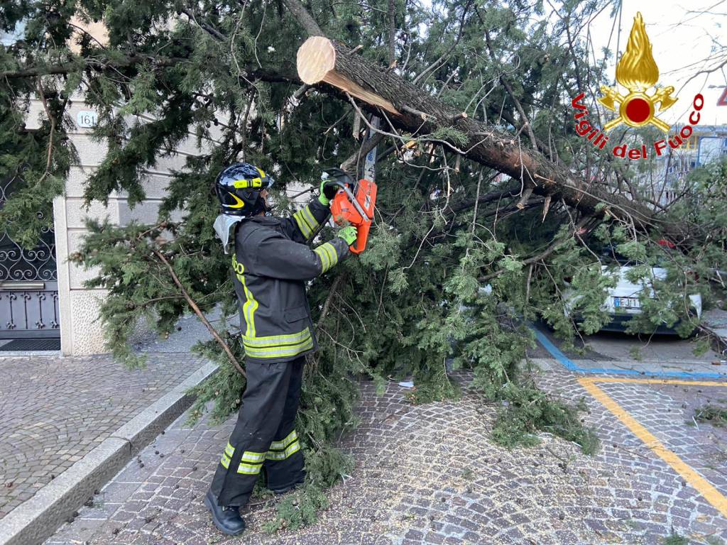 Il vento forte su Como: raffiche da paura, danni ed alberi caduti