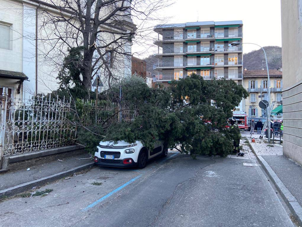 Il vento forte su Como: raffiche da paura, danni ed alberi caduti