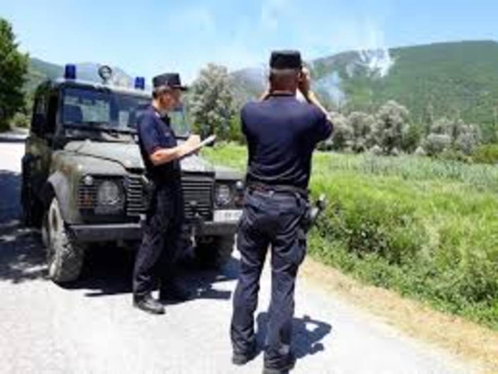 incendio bosco, la forestale a caccia di piromani