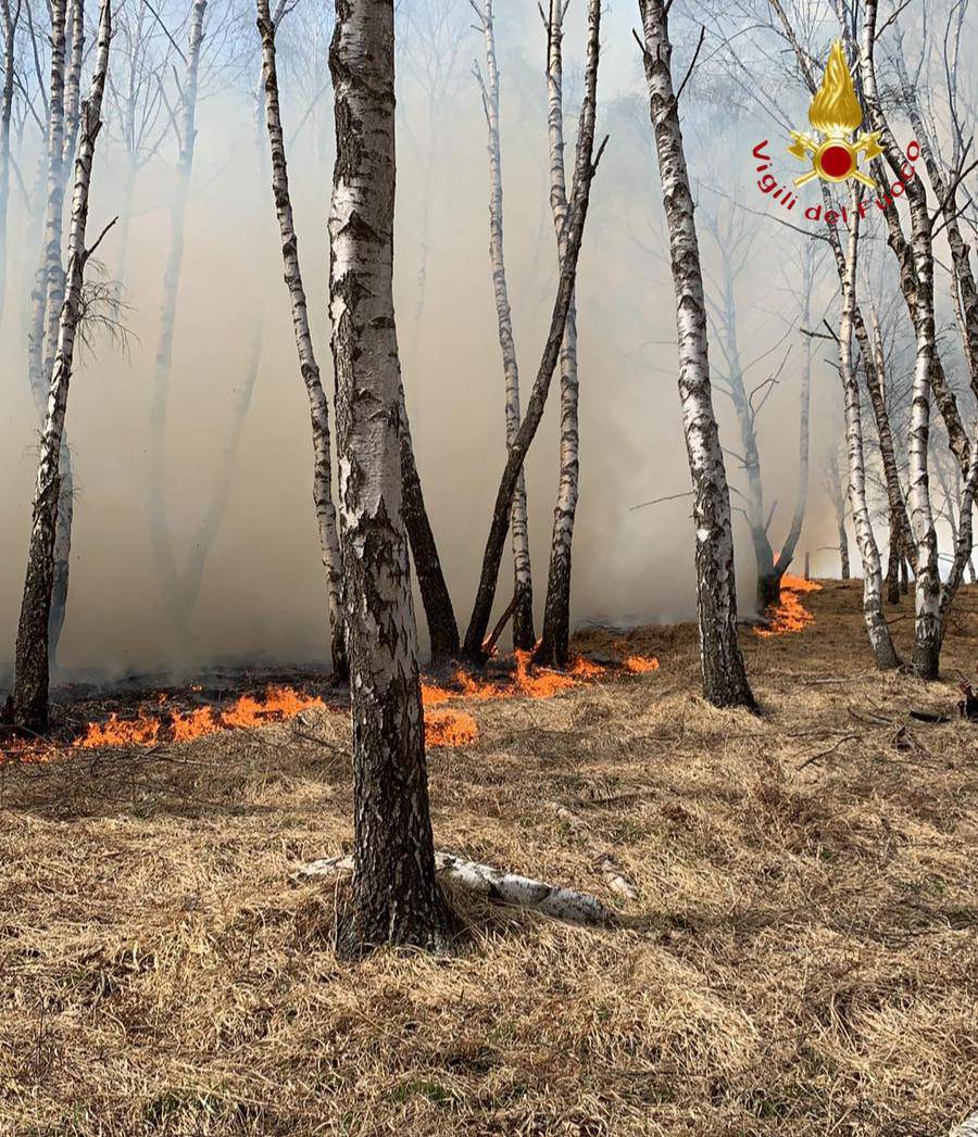 incendio monti di livo alto lago di como giorno di pasqua pompieri